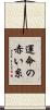 運命の赤い糸 Scroll