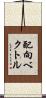 配向ベクトル Scroll