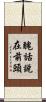 醜話說在前頭 Scroll