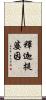 釋迦提婆因 Scroll