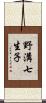 野溝七生子 Scroll