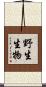 野生生物 Scroll