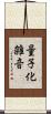 量子化雑音 Scroll