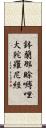 鉢蘭那賖嚩哩大陀羅尼經 Scroll