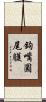 鉤嘴圓尾鸌 Scroll
