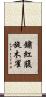 鏽紅腹旋木雀 Scroll