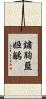 鏽胸藍姬鶲 Scroll