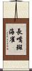 長嘴斑海雀 Scroll