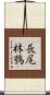 長尾林鴞 Scroll