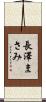 長澤まさみ Scroll