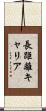 長距離キャリア Scroll