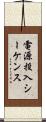 電源投入シーケンス Scroll