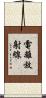 電離放射線 Scroll