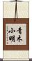 青木小明 Scroll