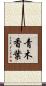 青木香葉 Scroll