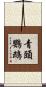青頭鸚鵡 Scroll