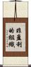 非盈利的組織 Scroll