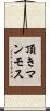 頂きマンモス Scroll