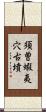 須曽蝦夷穴古墳 Scroll