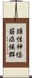 頚性神経筋症候群 Scroll