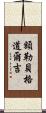 額勒貝格·道爾吉 Scroll