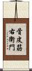 骨皮筋右衛門 Scroll