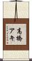 高橋アキ Scroll
