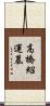 高橋紹運墓 Scroll