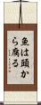 魚は頭から腐る Scroll
