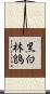 黑白林鵖 Scroll