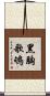 黑胸歌鴝 Scroll