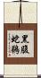 黑腹蛇鵜 Scroll