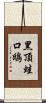 黑頂蛙口鴟 Scroll