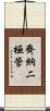 齊納二極管 Scroll