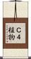 Ｃ４植物 Scroll
