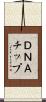 ＤＮＡチップ Scroll
