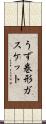 うず巻形ガスケット Scroll