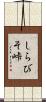 しらびそ峠 Scroll