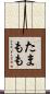 たまもも Scroll