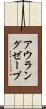 アウラングゼーブ Scroll
