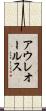 アウレオールス Scroll