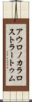 アウロノカラロストラートゥム Scroll
