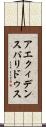 アエクィデンスパリドゥス Scroll