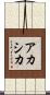アカシカ Scroll