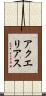 アクエリアス Scroll