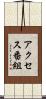 アクセス番組 Scroll
