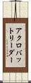 アクロバットリーダー Scroll