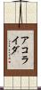 Acorayda Scroll