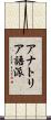 アナトリア語派 Scroll