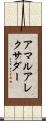 Amar Alexander Scroll